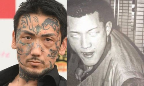 血草有什么药效-血草的作用与功效与禁忌症有哪些,中国血草的作用与功效与禁忌症网站